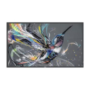 Philips 75BDL3511Q Pantalla Digital Signage 75" 4K 400 nits 18/7 | monitor digital signage